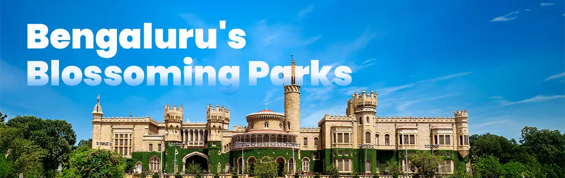 visit-bengaluru-s-blossoming-parks-in-spring