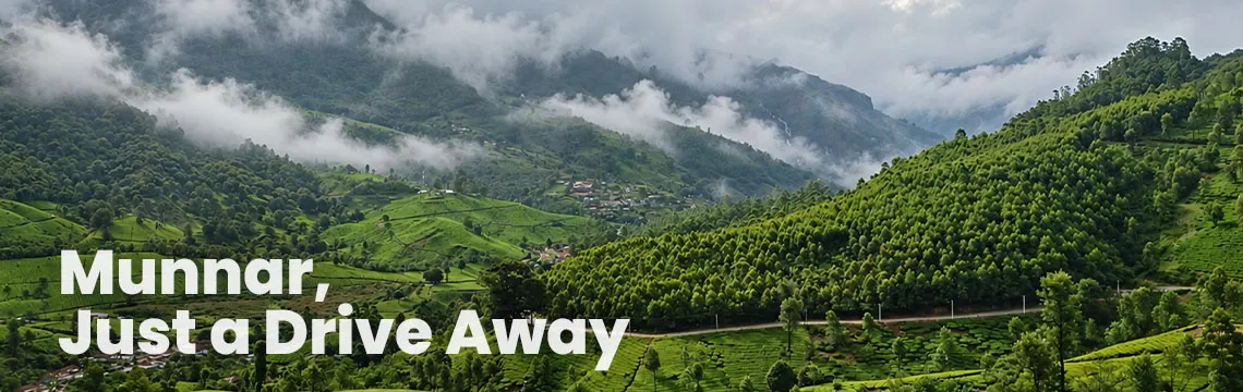 Munnar just a drive away
