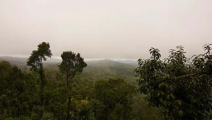 Discover Karnataka's hill stations
