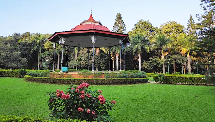 visit-bengaluru-s-blossoming-parks-in-spring