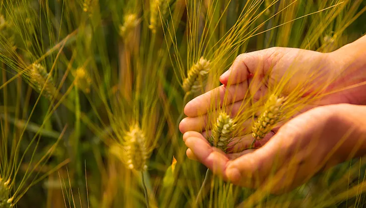 Cultural Festivals in April