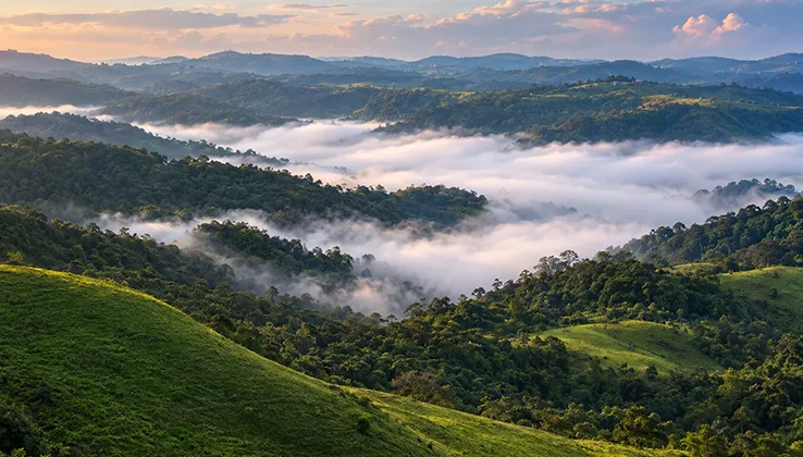 coorg karnataka