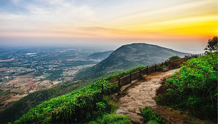 Best Cities for Remote Workers to Work in Spring