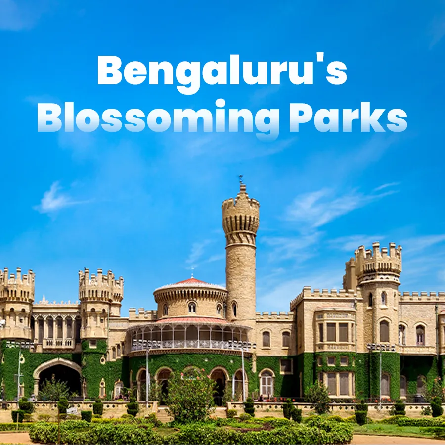 Bengaluru blossoming Parks