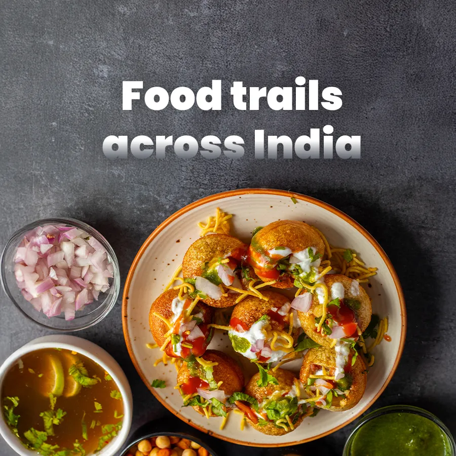 Food Lovers Guide When Travelling Around India