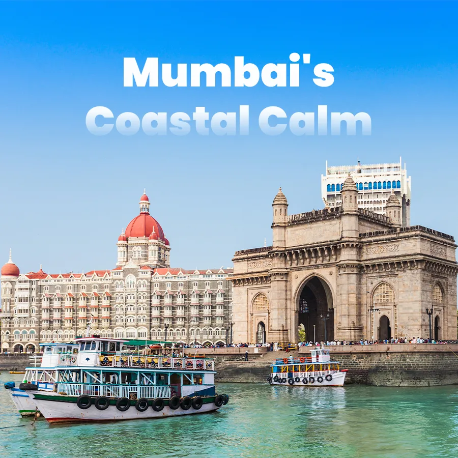 Mumbais coastal calm