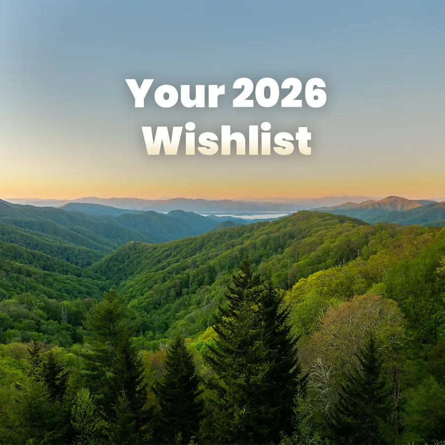 5 Top Travel Destinations to Visit in 2026!